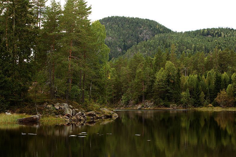 File:Ulvsvann.jpg