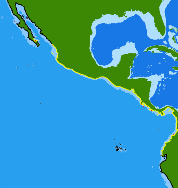 File:Albula pacifica range.png