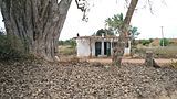 Anjaneya temple in Nadipinayakanahalli village (ನಡಿಪಿನಾಯಕನಹಳ್ಳಿ ಗ್ರಾಮದಲ್ಲಿ ಆಂಜನೇಯ ದೇವಸ್ಥಾನ)