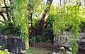 "Hídi" vagy Béry mill, the former millpond from the north, Andráshida, 2005