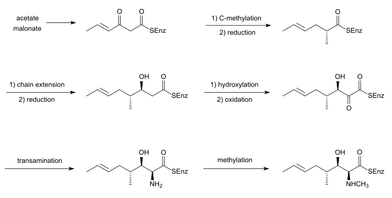 File:Butenyl-methyl-L-threonine biosynthesis.svg