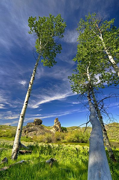 File:Castle Rocks Idaho.jpg