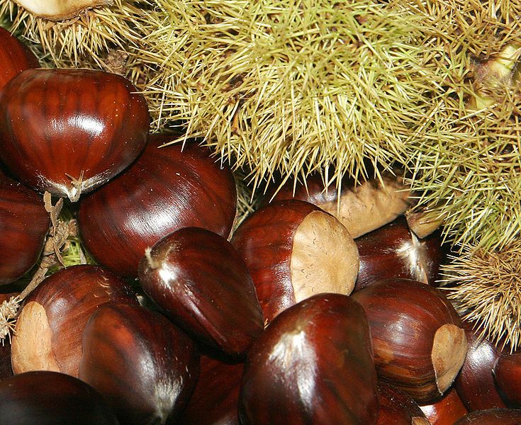 File:Chestnuts02.jpg