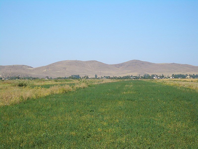 File:E7993-Milyanfan-fields.jpg