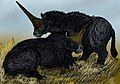 Elasmotherium