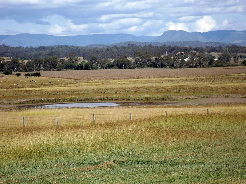 File:Fields in Tamrookum.jpg