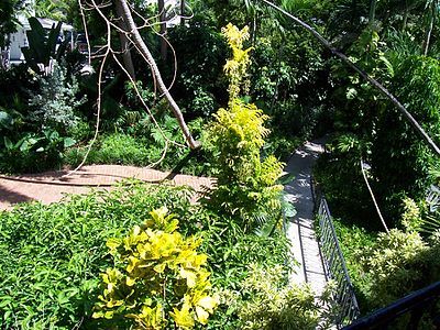 View from inside the house, showing wheelchair access