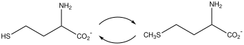 File:Homocyc&Methionine.svg