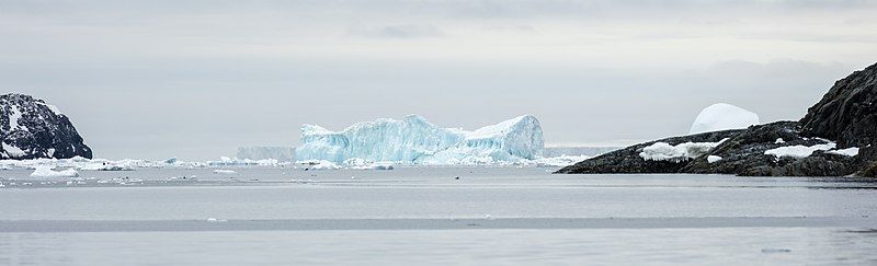 File:Hope Bay-2016-Trinity Peninsula–Iceberg.jpg