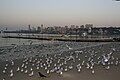 (B) Chowpatty is one of the most famous beaches of Mumbai and a prime spot for Mumbai's roadside cuisine.