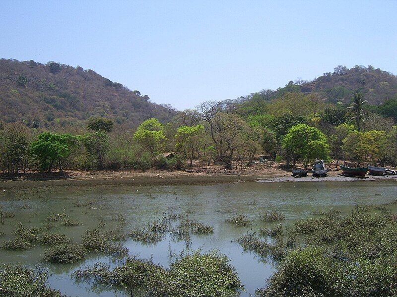 File:India-Elephanta-Trees.jpg