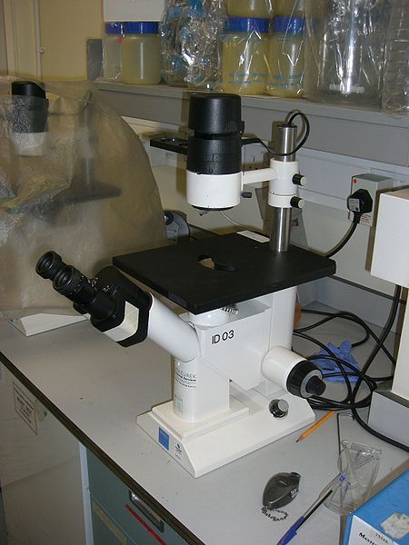 File:Inverted Microscope.jpg