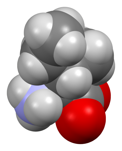 File:Isoleucine-from-xtal-3D-sf.png