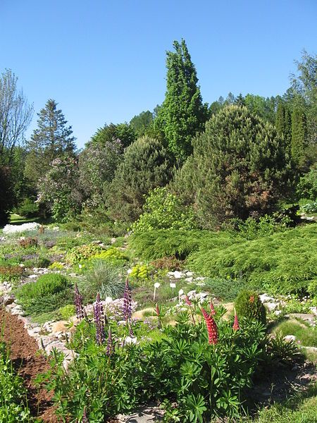 File:Luua arboretum.jpg