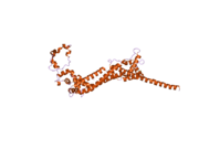 2j1d: CRYSTALLIZATION OF HDAAM1 C-TERMINAL FRAGMENT