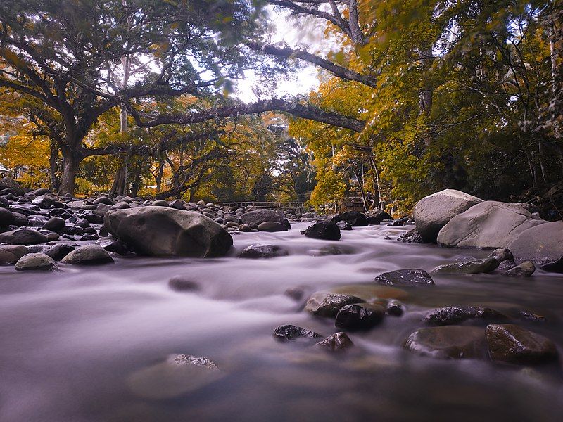 File:Pasonanca Natural Park.jpg