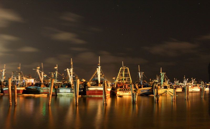 File:Royapuram Fishing Harbour.jpg