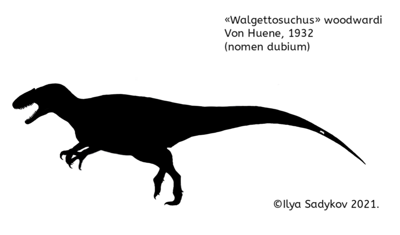 File:Walgettosuchus woodwardi.png