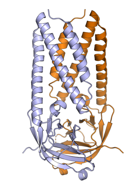 File:6xdc SARS-CoV-2 ORF3a.png