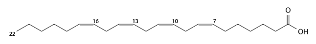 adrenic acid structure