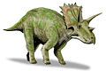 Anchiceratops, North America:Alberta, Wyoming