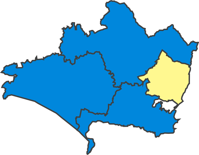 File:DorsetParliamentaryConstituency1918Results.svg