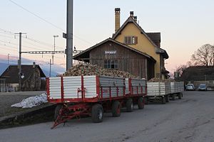 Carts loaded with sugar beets in front of a freight house