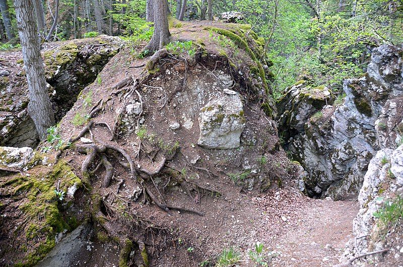 File:Felsenmeer Heersberg, Albstadt-Laufen.jpg