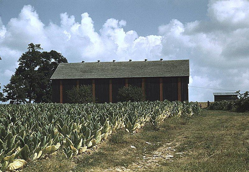 File:Field of burley.jpg