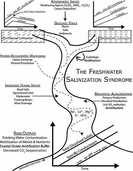 File:Freshwater-salinization-syndrome-PNAS.jpg