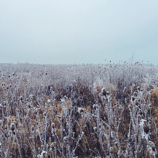 File:Frozen field.jpg