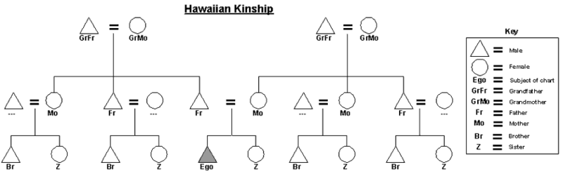 File:Hawaiian-kinship-chart.png