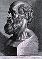 Image 24Hippocrates (c. 460–370 BCE). Known as the "father of medicine". (from History of medicine)