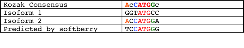 File:Kozak consensus.png