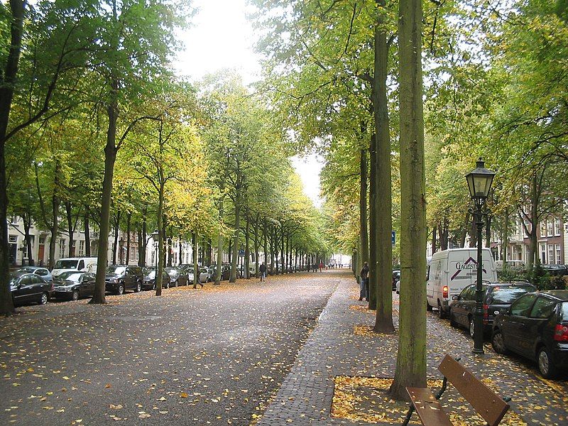 File:Lange voorhout.jpg