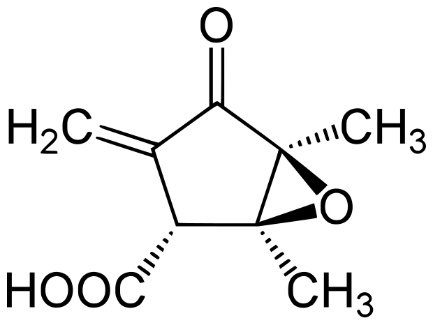 File:Methylenomycin A.svg