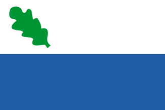 File:Oirschot vlag.svg