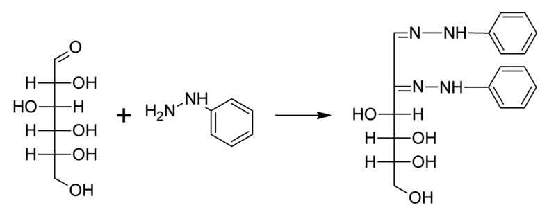 File:Osazone-Formation.png