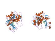 2i6b: Human Adenosine Kinase in Complex with An Acetylinic Inhibitor