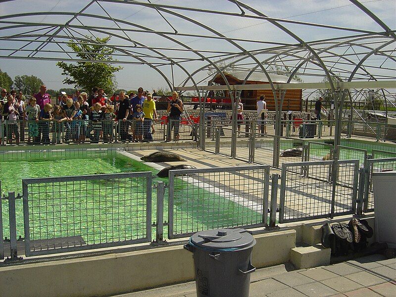 File:Pieterburen-zeehondencrèche-2.JPG