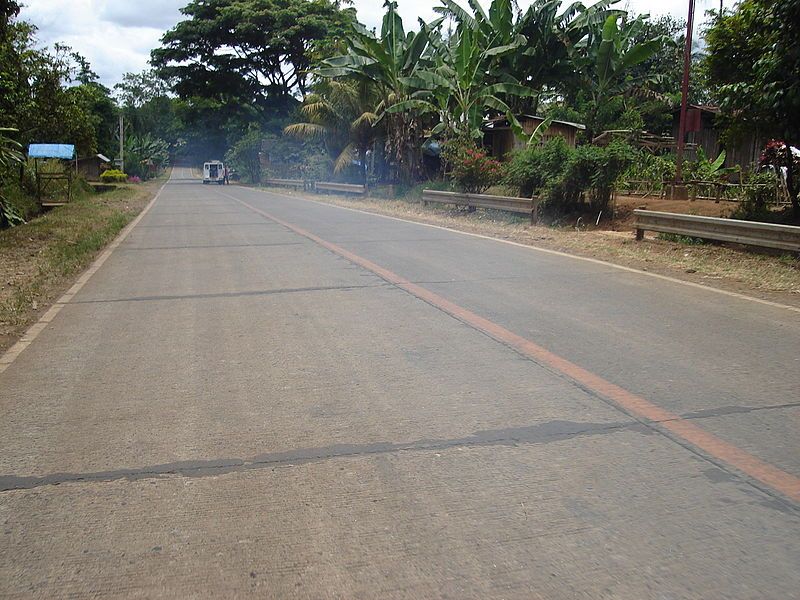 File:Road in Lantapan.JPG