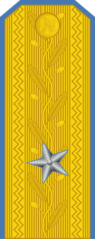 File:Romania-AirForce-OF-6.svg