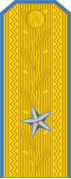 Shoulder insignia of the rank