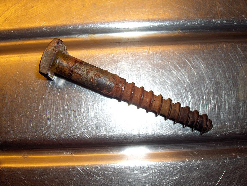 File:Rust treat 3.JPG