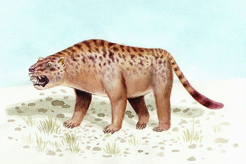 File:Sarkastodon-bpk.jpg