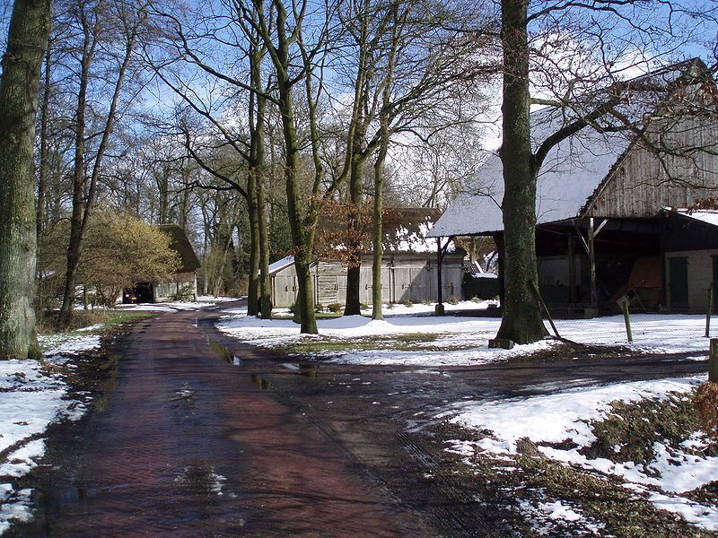 File:Schoonebeek Westerse Bos.jpg