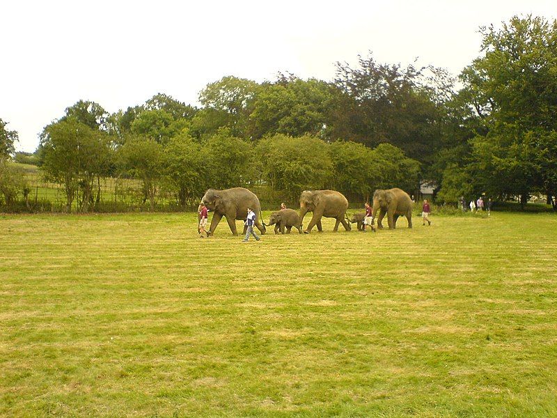 File:Whipsnade2.jpg