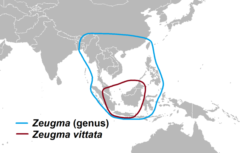 File:Zeugma distribution.png