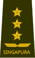 Lieutenant general[45] (Singapore Army)