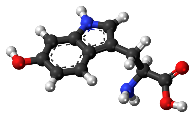 File:5-Hydroxy-L-tryptophan-3D-balls.png